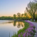 南京旅游 缩略图 8