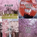 合肥旅游 缩略图 5