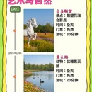 南京旅游 缩略图 2