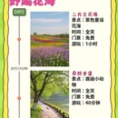 南京旅游 缩略图 3
