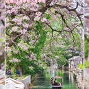 绍兴旅游 缩略图 8