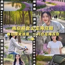 南京旅游 缩略图 1