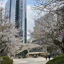合肥旅游 缩略图 4