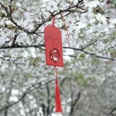 杭州旅游 缩略图 8