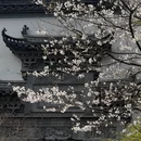 绍兴旅游 缩略图 5