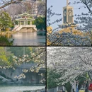 合肥旅游 缩略图 6