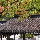 绍兴旅游 缩略图 9