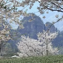 绍兴旅游 缩略图 3
