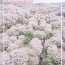 绍兴旅游 缩略图 3
