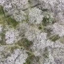杭州旅游 缩略图 2