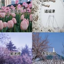 合肥旅游 缩略图 2