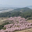 绍兴旅游 缩略图 18
