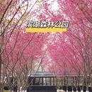 合肥旅游 缩略图 1