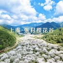 杭州旅游 缩略图 1