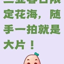 三亚旅游 缩略图 1