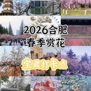 合肥旅游 缩略图 1