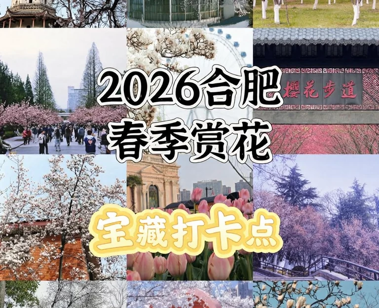 合肥旅游 1