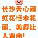 长沙旅游 缩略图 1