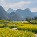 南京旅游 缩略图 10