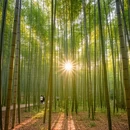 镇江旅游 缩略图 7