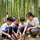 镇江旅游 缩略图 4
