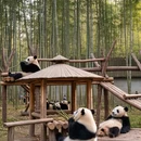 镇江旅游 缩略图 8