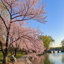 北京旅游 缩略图 10