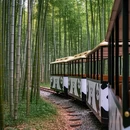 镇江旅游 缩略图 2
