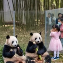 镇江旅游 缩略图 3