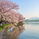 杭州旅游 缩略图 7
