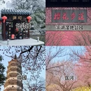 合肥旅游 缩略图 4