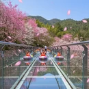 杭州旅游 缩略图 2