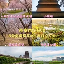 西安旅游 缩略图 1