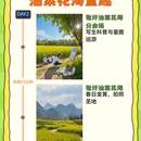 南京旅游 缩略图 2