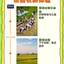 南京旅游 缩略图 4