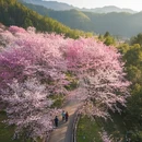 杭州旅游 缩略图 4
