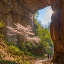 杭州旅游 缩略图 6