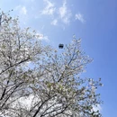 杭州旅游 缩略图 12