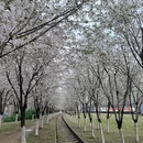 合肥旅游 缩略图 2