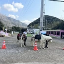 杭州旅游 缩略图 17