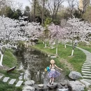 合肥旅游 缩略图 1