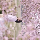 合肥旅游 缩略图 1