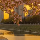 合肥旅游 缩略图 8