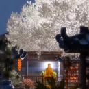 合肥旅游 缩略图 2