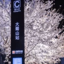 合肥旅游 缩略图 1