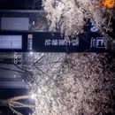 合肥旅游 缩略图 4