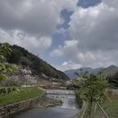杭州旅游 缩略图 15