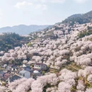绍兴旅游 缩略图 3