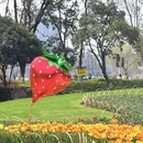 绍兴旅游 缩略图 7