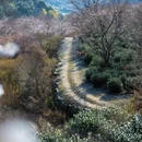 绍兴旅游 缩略图 4